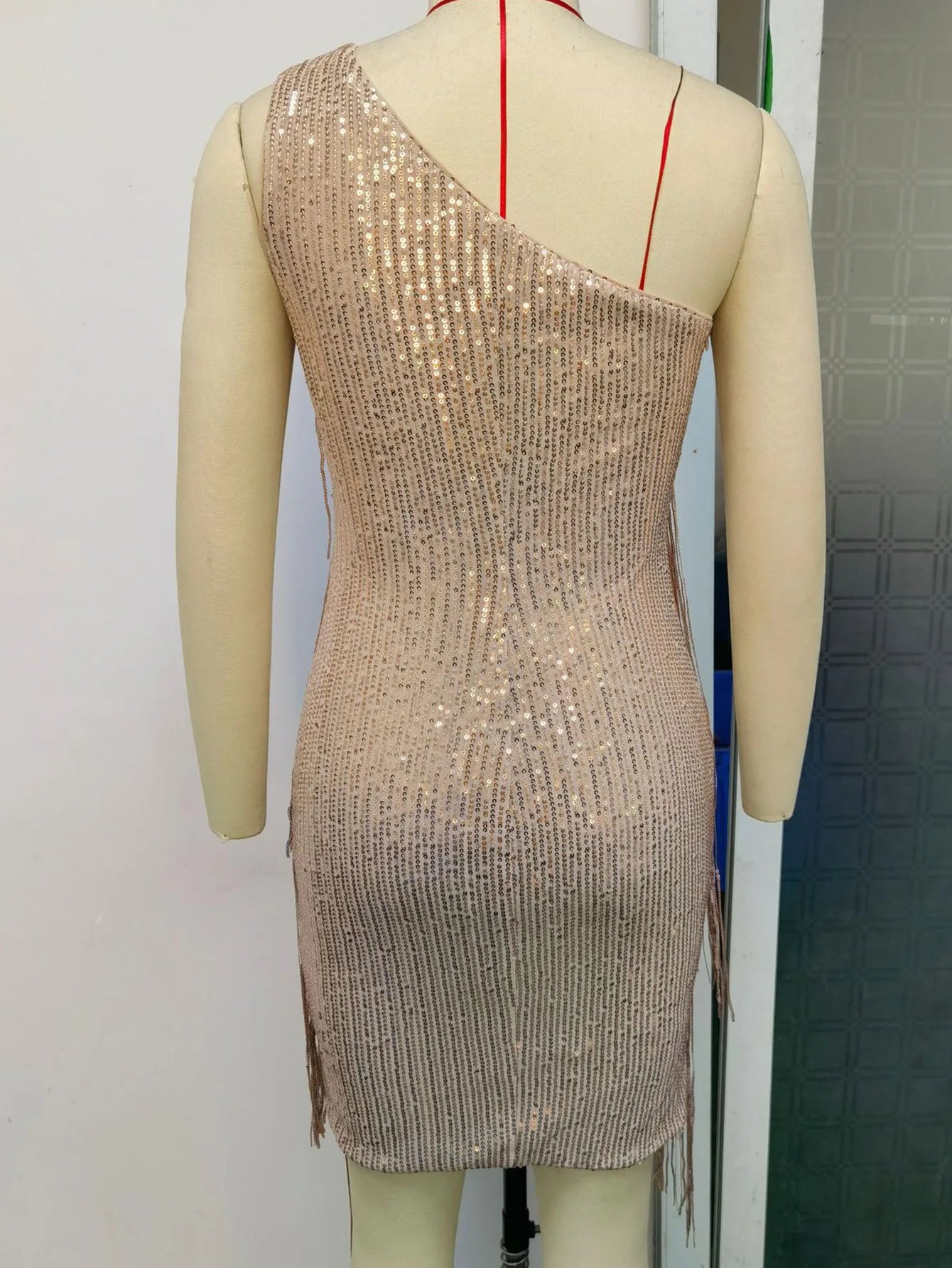 Fringed Sequin Bodycon Dress