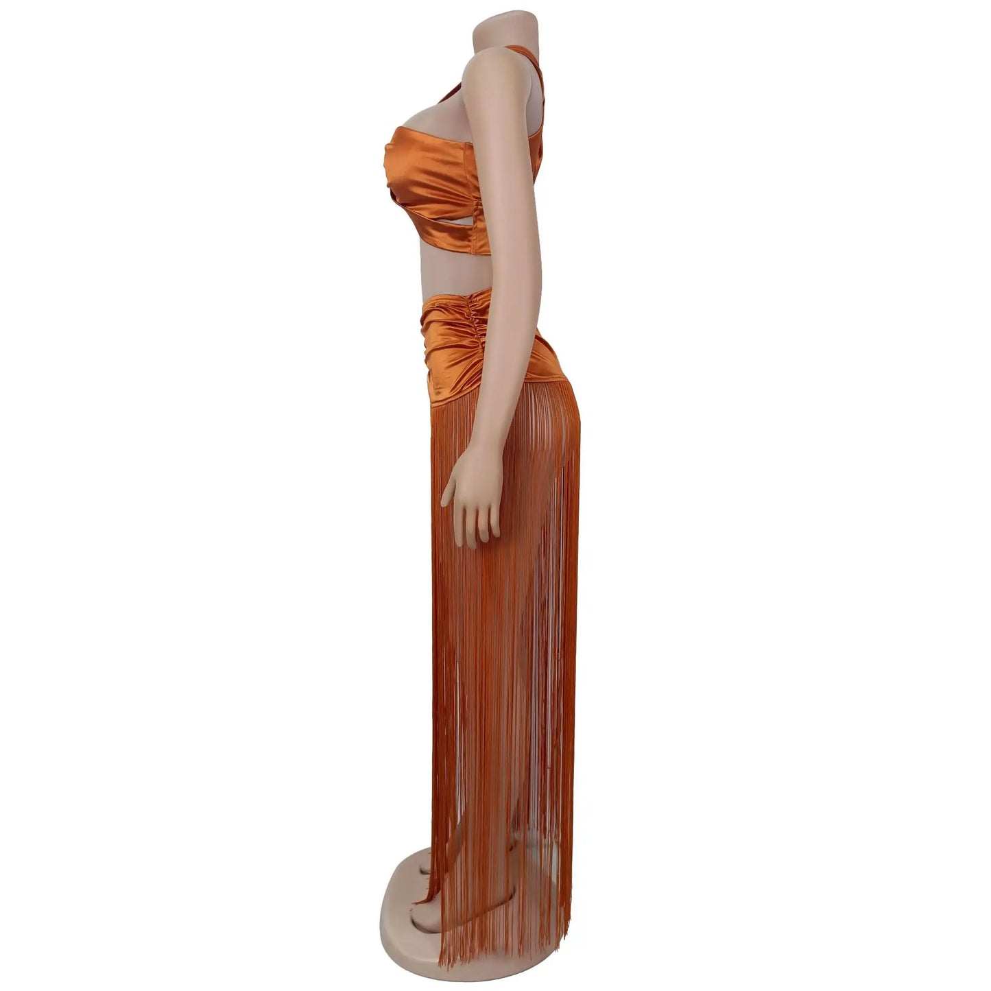 Tassel Bodycon Long Dress