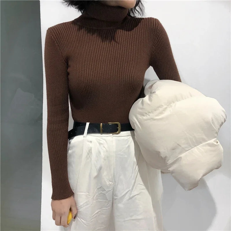 Ribbed Turtleneck Sweater 2024